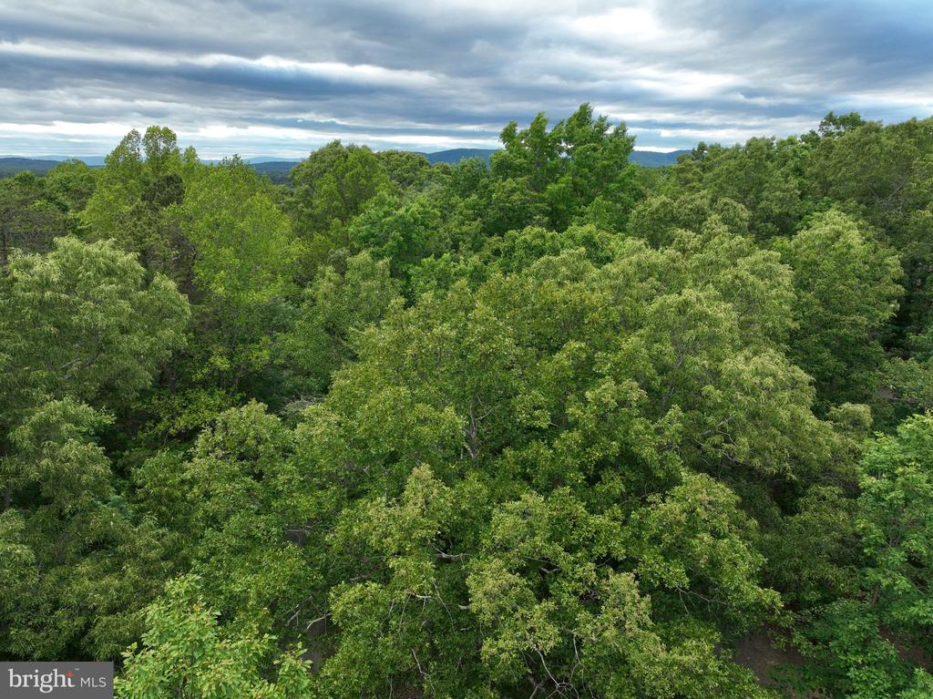 0 RIVANNA RDG, TROY, Virginia 22974, ,Land,0 RIVANNA RDG,VAAB2001246 MLS # VAAB2001246