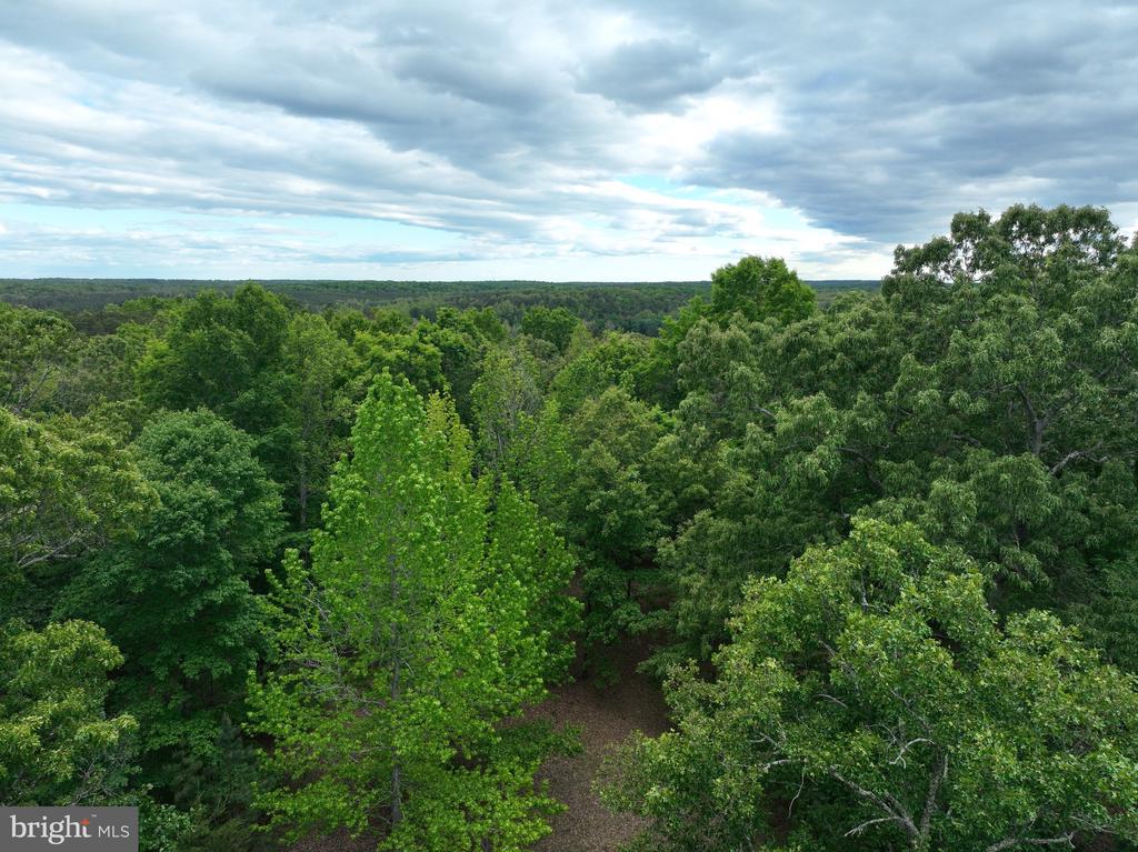 0 RIVANNA RDG, TROY, Virginia 22974, ,Land,0 RIVANNA RDG,VAAB2001246 MLS # VAAB2001246