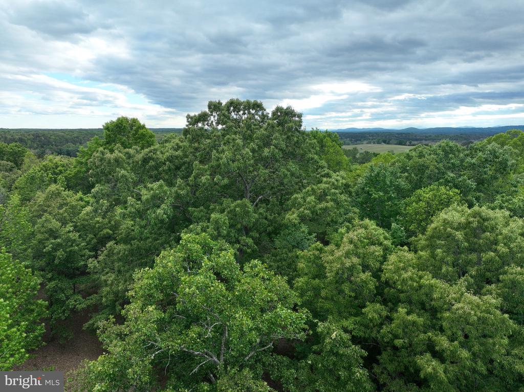 0 RIVANNA RDG, TROY, Virginia 22974, ,Land,0 RIVANNA RDG,VAAB2001246 MLS # VAAB2001246