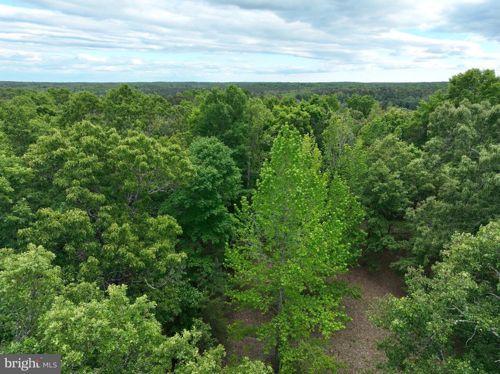 0 RIVANNA RDG, TROY, Virginia 22974, ,Land,0 RIVANNA RDG,VAAB2001246 MLS # VAAB2001246