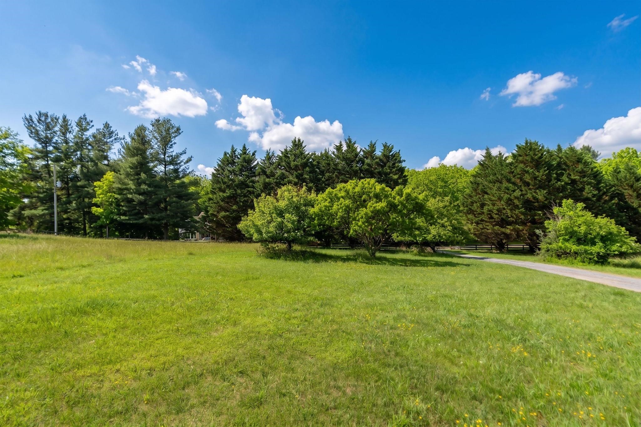 1057 ROCKFISH RD, WAYNESBORO, Virginia 22980, 4 Bedrooms Bedrooms, ,4 BathroomsBathrooms,Residential,1057 ROCKFISH RD,678133 MLS # 678133 1057 ROCKFISH RD, WAYNESBORO, Virginia 22980, 4 Bedrooms Bedrooms, ,4 BathroomsBathrooms,Residential,1057 ROCKFISH RD,678133 MLS # 678133