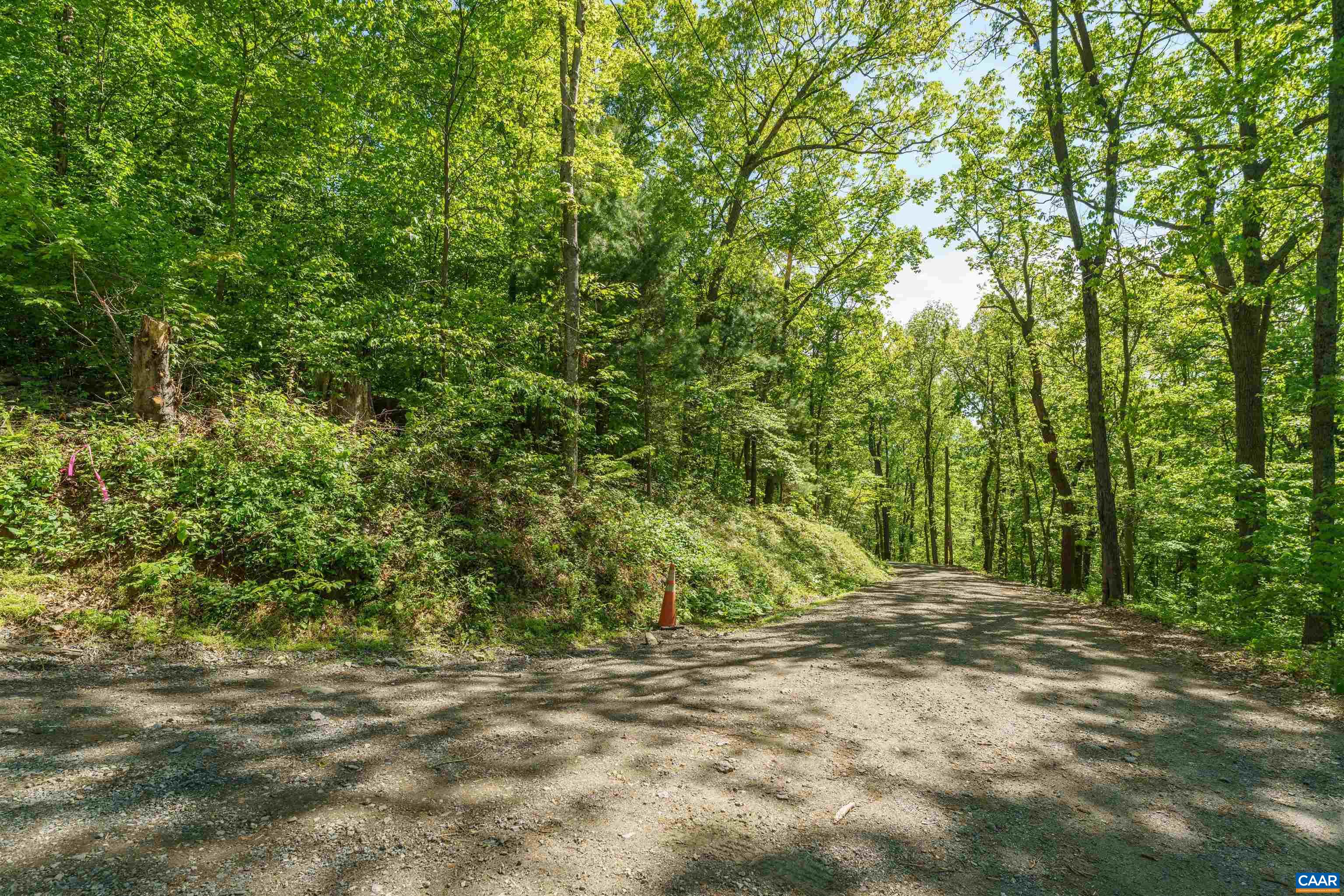 Lot C BROKENBACK MOUNTAIN RD, DYKE, Virginia 22935, ,Land,Lot C BROKENBACK MOUNTAIN RD,678140 MLS # 678140 Lot C BROKENBACK MOUNTAIN RD, DYKE, Virginia 22935, ,Land,Lot C BROKENBACK MOUNTAIN RD,678140 MLS # 678140