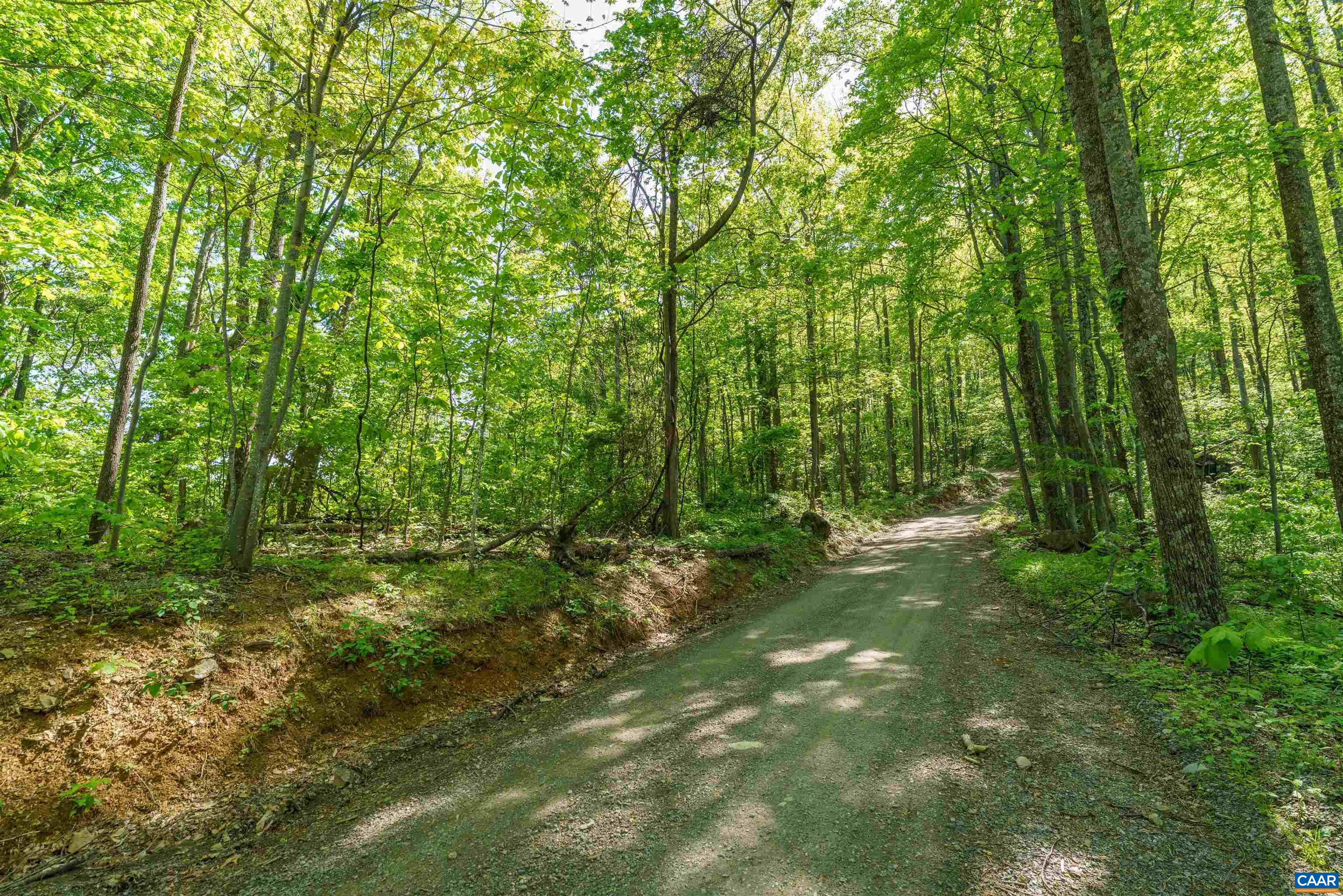Lot A BROKENBACK MOUNTAIN RD, DYKE, Virginia 22935, ,Land,Lot A BROKENBACK MOUNTAIN RD,678141 MLS # 678141