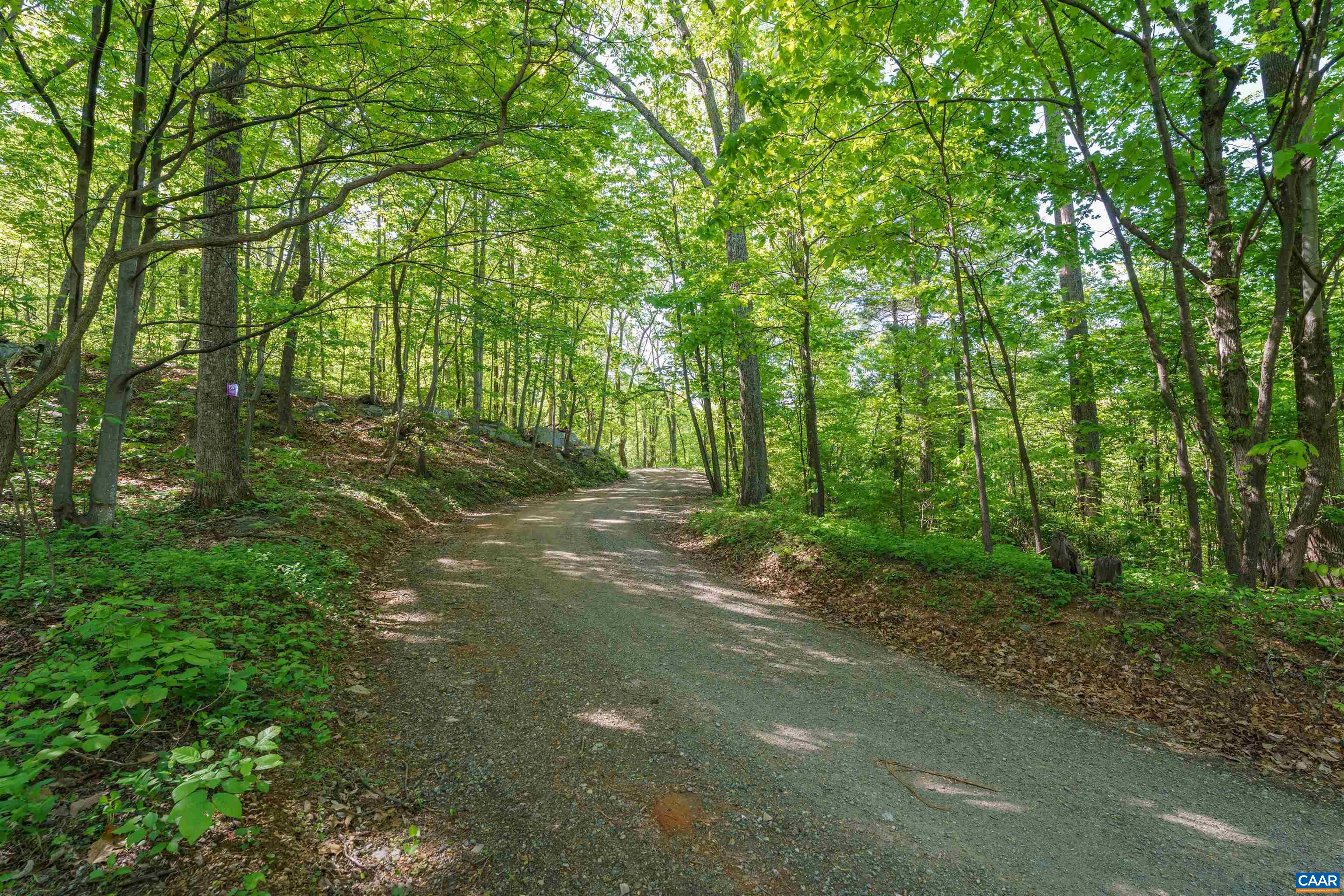 Lot A BROKENBACK MOUNTAIN RD, DYKE, Virginia 22935, ,Land,Lot A BROKENBACK MOUNTAIN RD,678141 MLS # 678141