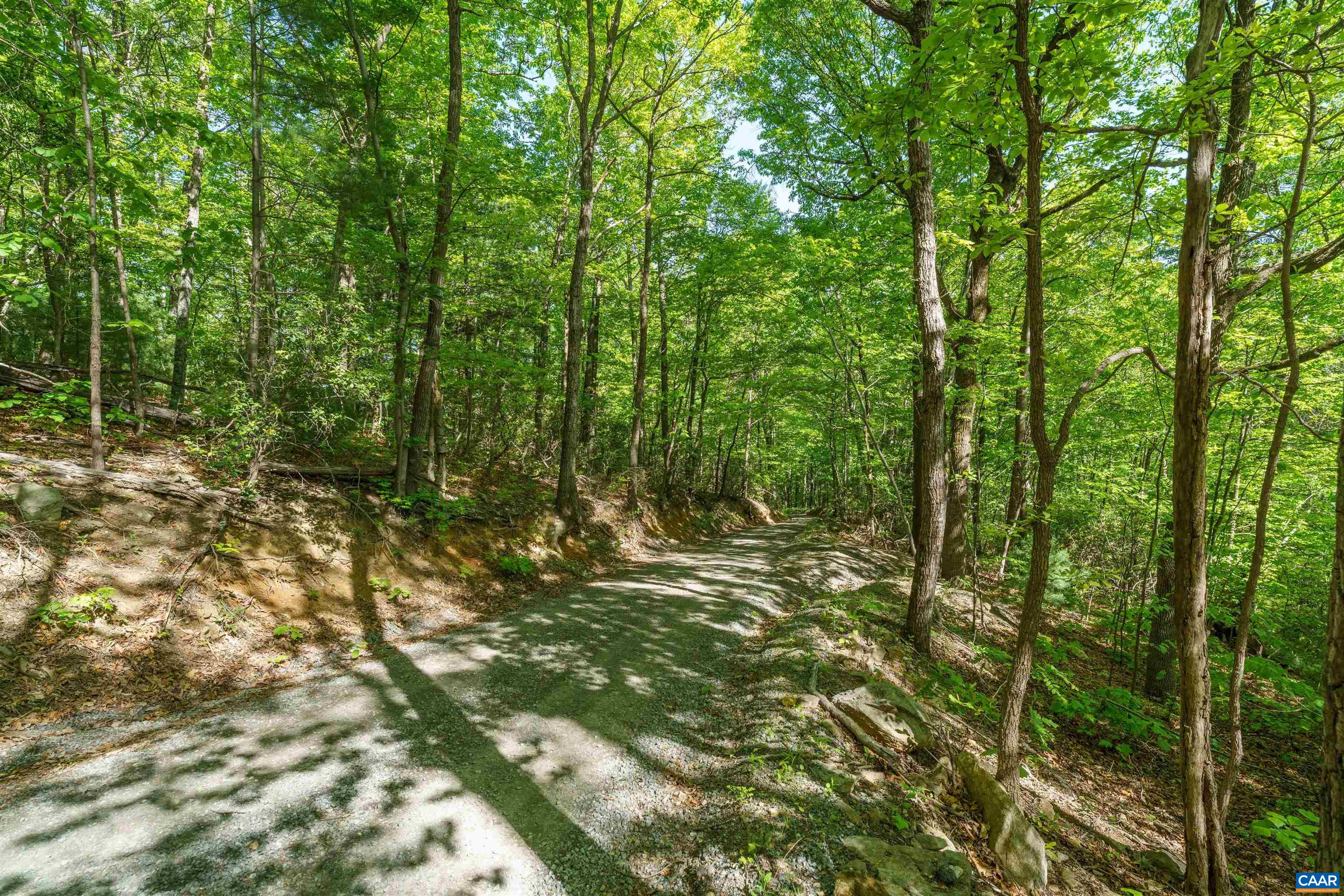 Lot A BROKENBACK MOUNTAIN RD, DYKE, Virginia 22935, ,Land,Lot A BROKENBACK MOUNTAIN RD,678141 MLS # 678141