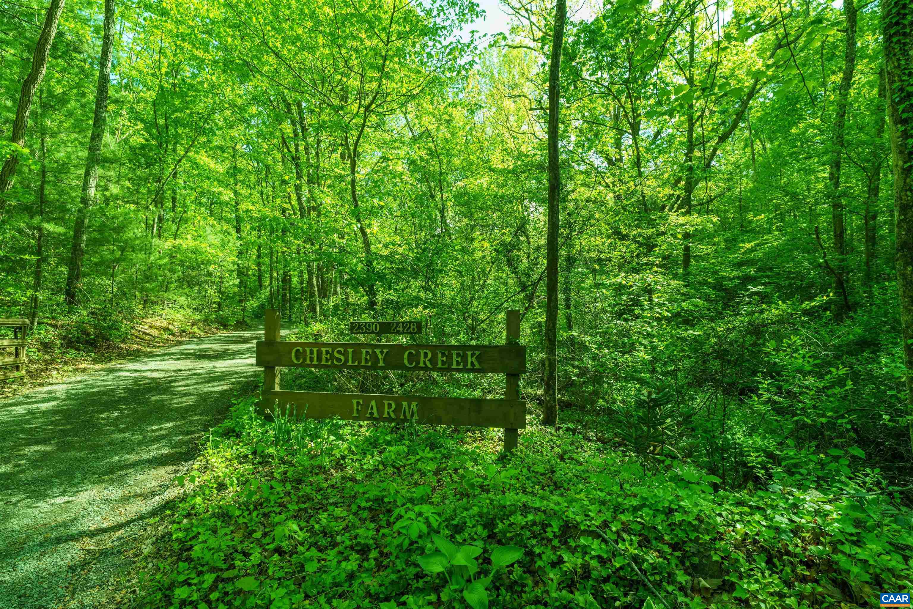 Lot A BROKENBACK MOUNTAIN RD, DYKE, Virginia 22935, ,Land,Lot A BROKENBACK MOUNTAIN RD,678141 MLS # 678141