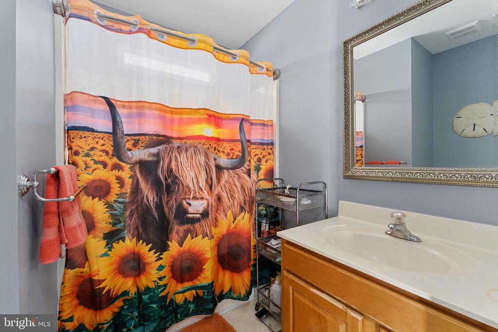 11704 BLEASDELL DR, SPOTSYLVANIA, Virginia 22551, 3 Bedrooms Bedrooms, ,2 BathroomsBathrooms,Residential,11704 BLEASDELL DR,VASP2042676 MLS # VASP2042676 11704 BLEASDELL DR, SPOTSYLVANIA, Virginia 22551, 3 Bedrooms Bedrooms, ,2 BathroomsBathrooms,Residential,11704 BLEASDELL DR,VASP2042676 MLS # VASP2042676