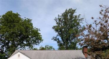 11504 KNOLLS RD, ORANGE, Virginia 22960, 3 Bedrooms Bedrooms, ,1 BathroomBathrooms,Residential,11504 KNOLLS RD,VAOR2014402 MLS # VAOR2014402