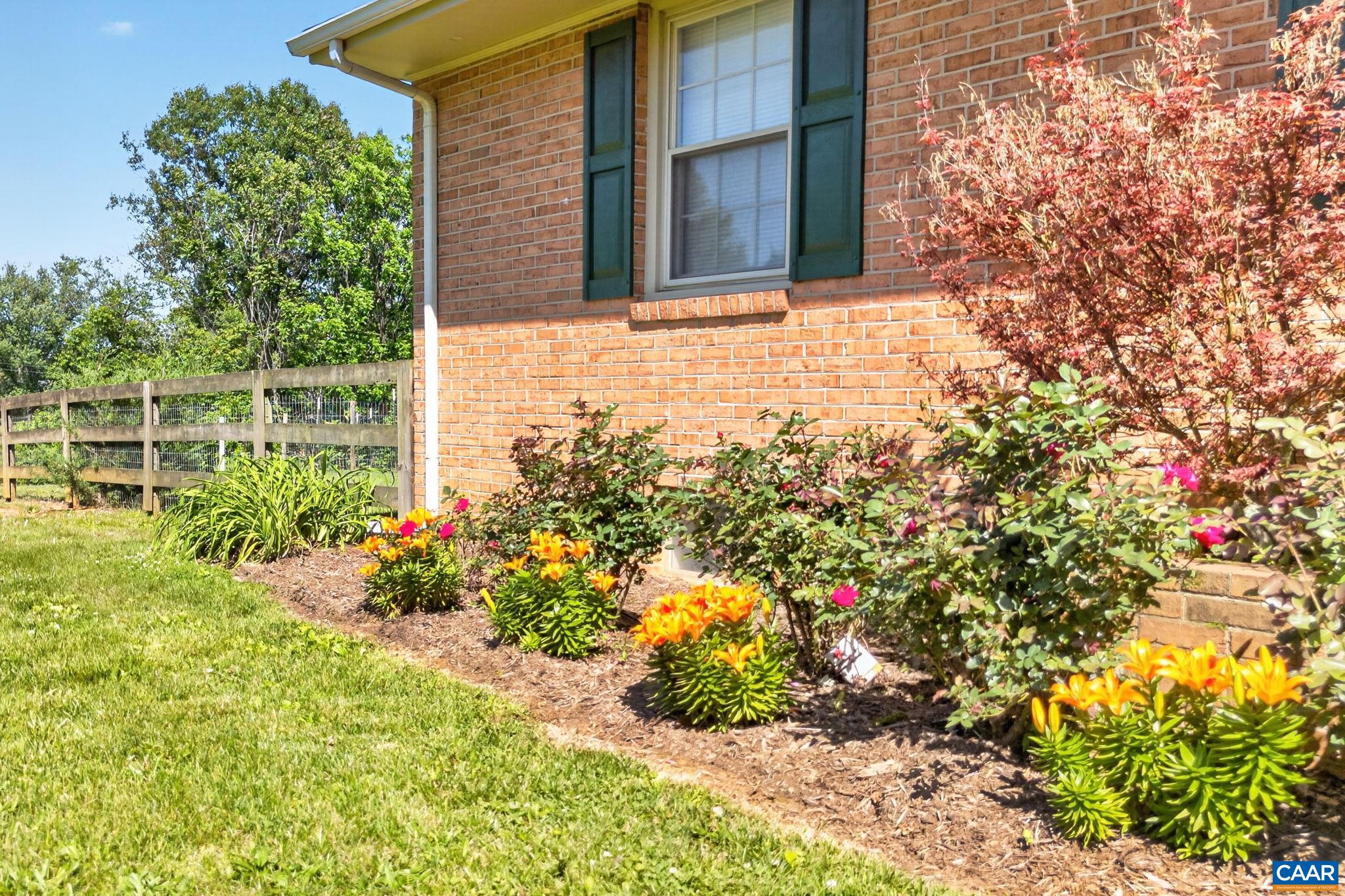 Front garden bed.