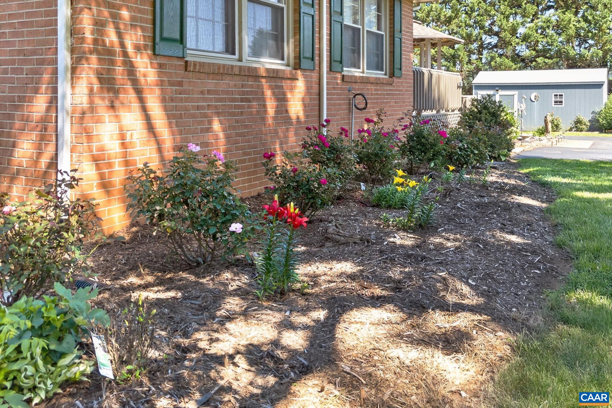 Side garden bed.