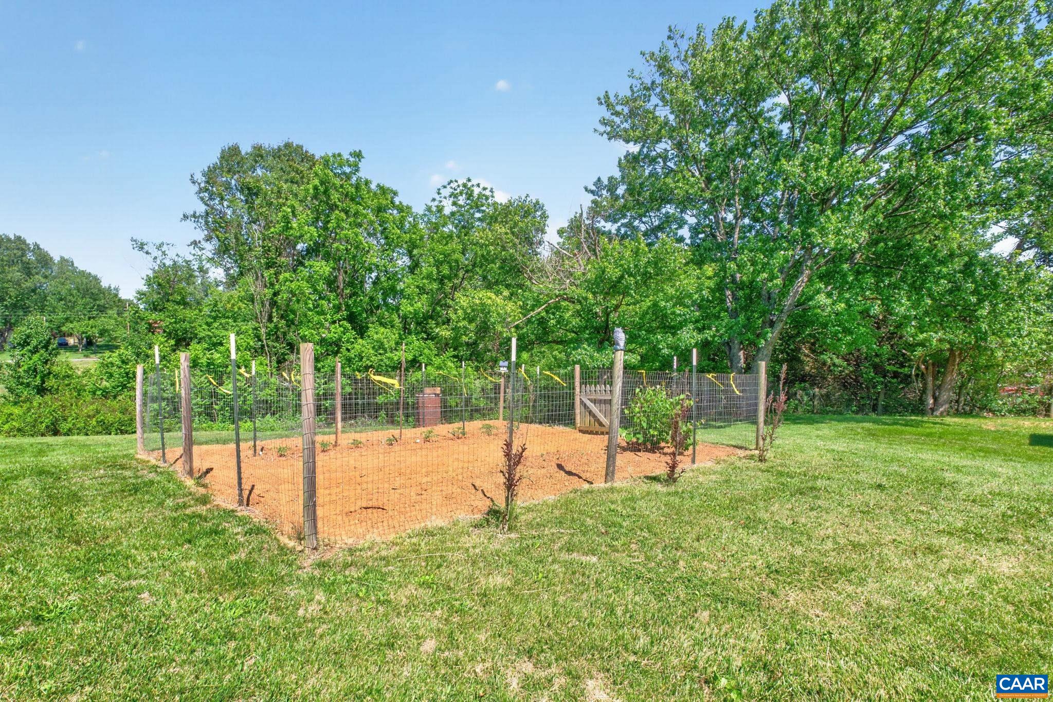 Backyard garden.