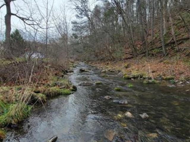 9755 BIG VALLEY RD, WARM SPRINGS, Virginia 24484, 2 Bedrooms Bedrooms, ,1 BathroomBathrooms,Residential,Bolar Hunting Camp,9755 BIG VALLEY RD,678171 MLS # 678171