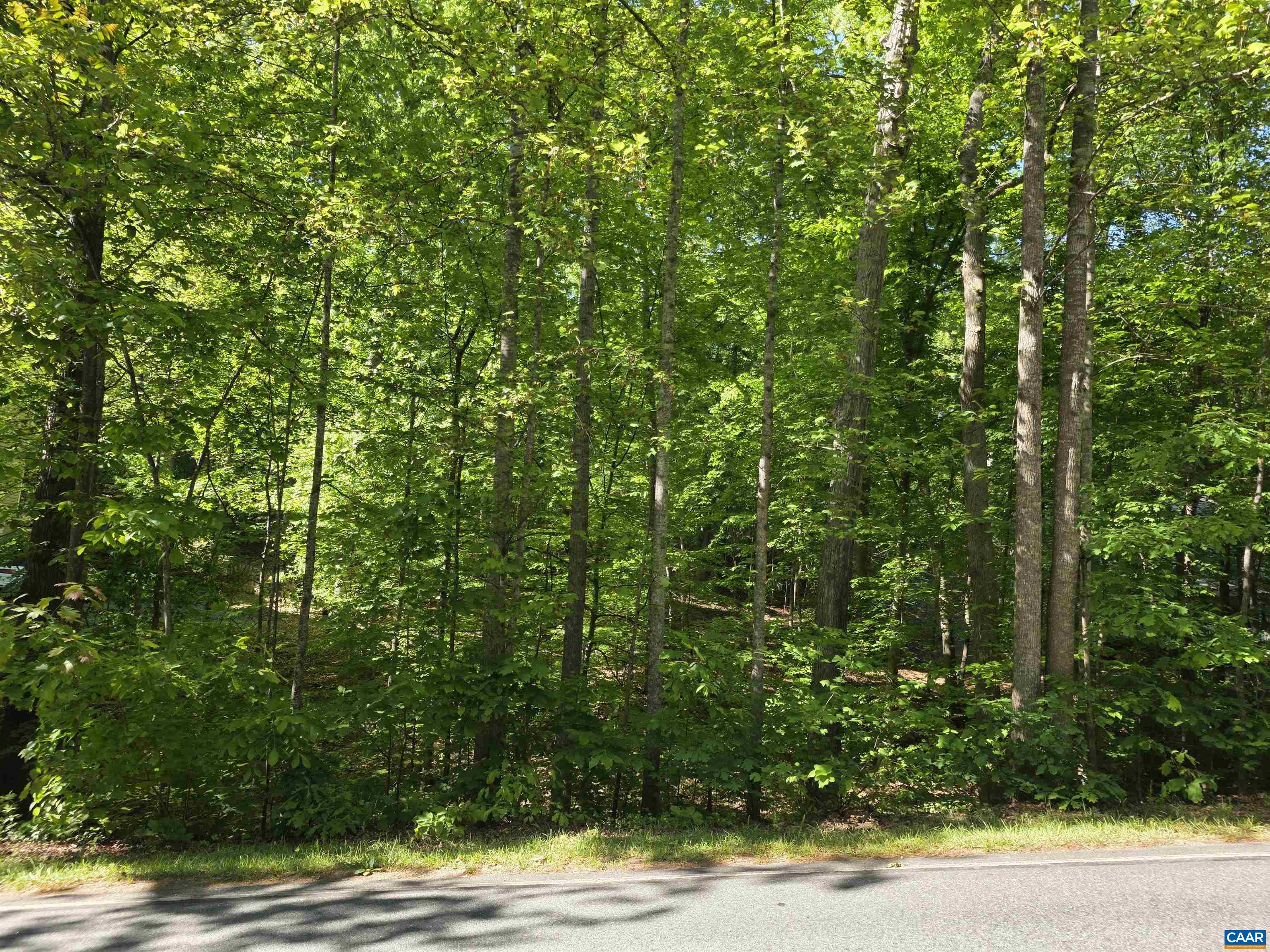 717 JEFFERSON DR, PALMYRA, Virginia 22963, ,Land,717 JEFFERSON DR,678181 MLS # 678181