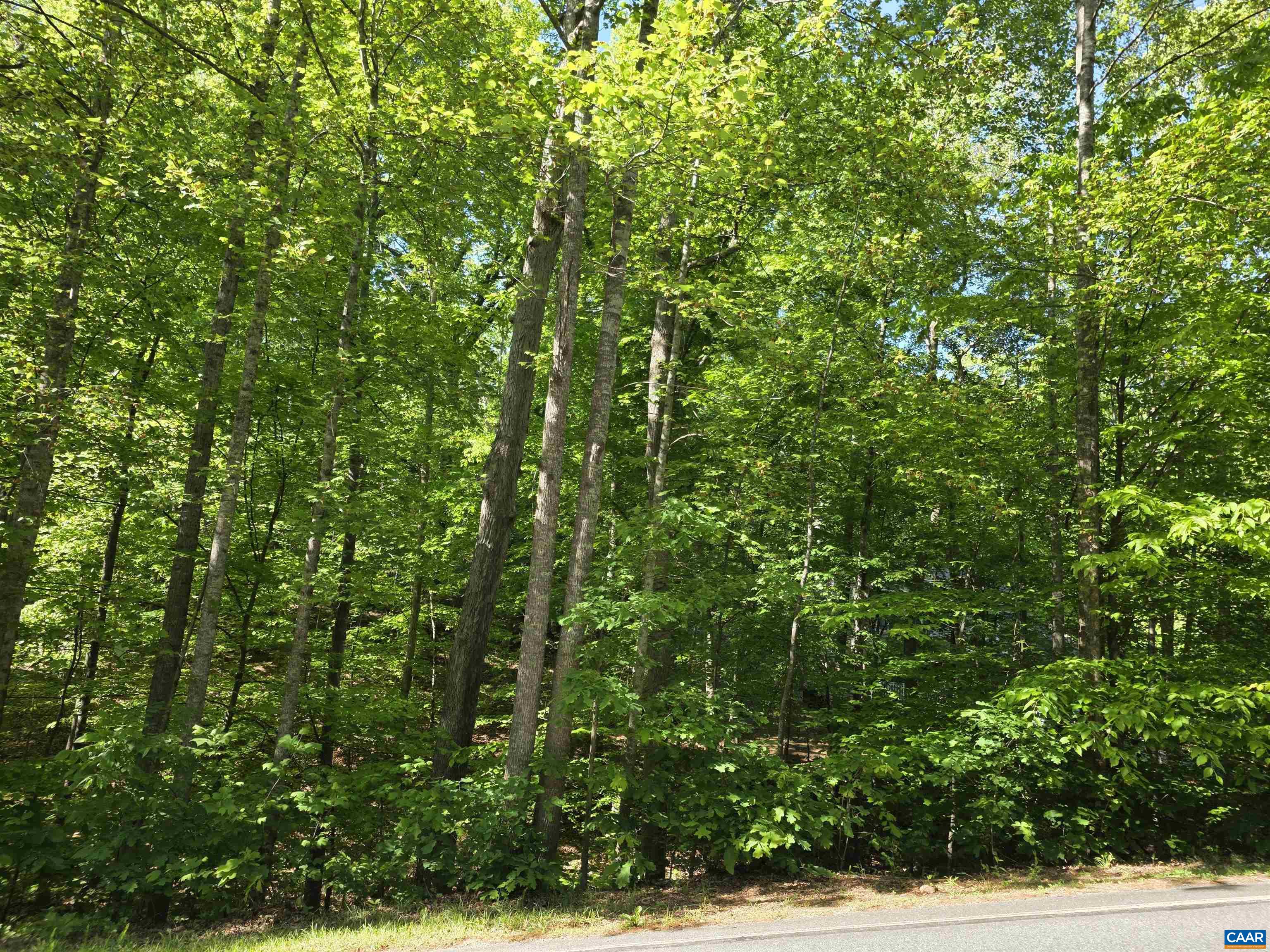 717 JEFFERSON DR, PALMYRA, Virginia 22963, ,Land,717 JEFFERSON DR,678181 MLS # 678181