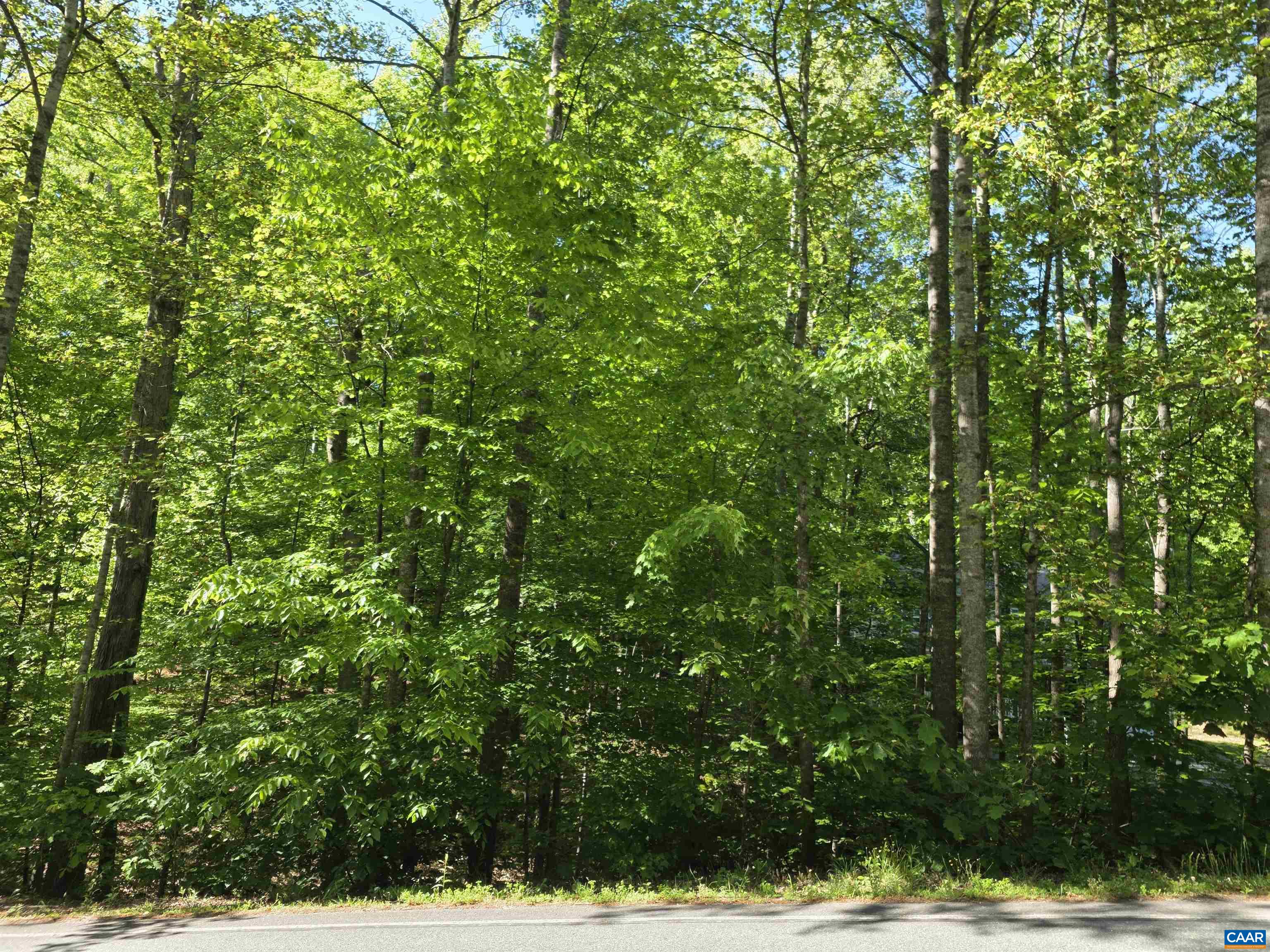 717 JEFFERSON DR, PALMYRA, Virginia 22963, ,Land,717 JEFFERSON DR,678181 MLS # 678181