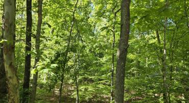 717 JEFFERSON DR, PALMYRA, Virginia 22963, ,Land,717 JEFFERSON DR,678181 MLS # 678181