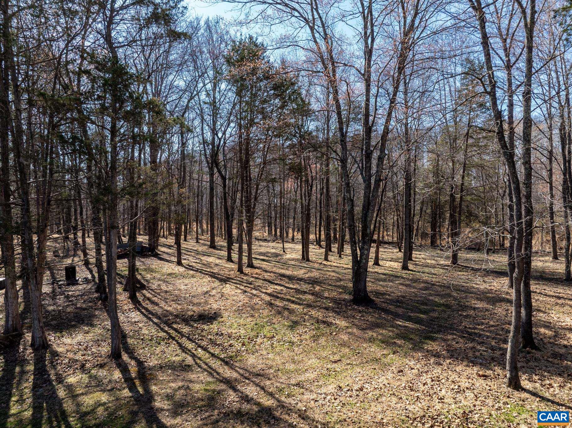 15760 FOX CHASE LN, CULPEPER, Virginia 22701, 4 Bedrooms Bedrooms, ,4 BathroomsBathrooms,Residential,15760 FOX CHASE LN,678205 MLS # 678205 15760 FOX CHASE LN, CULPEPER, Virginia 22701, 4 Bedrooms Bedrooms, ,4 BathroomsBathrooms,Residential,15760 FOX CHASE LN,678205 MLS # 678205