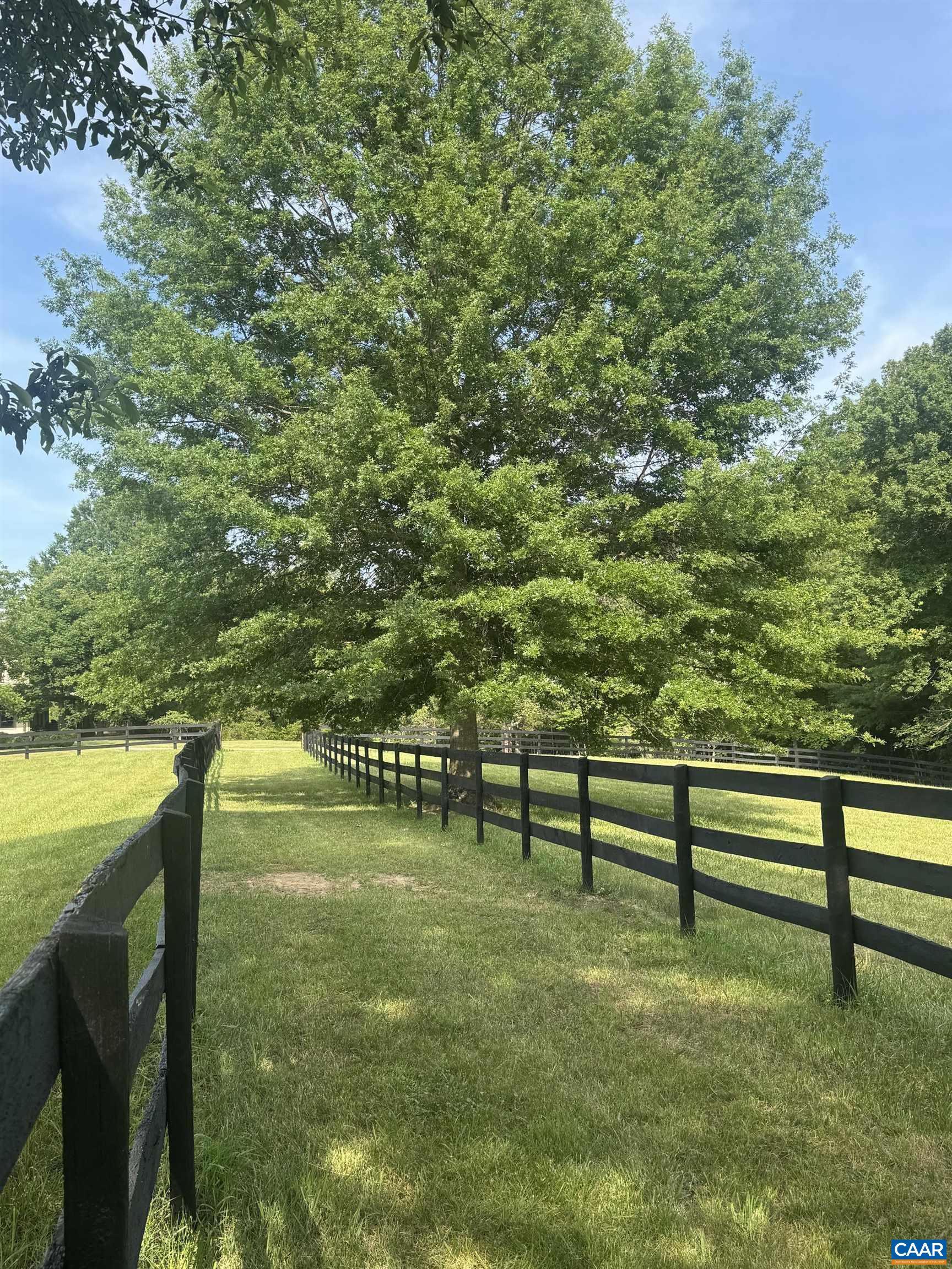 5362 BREAK HEART RD, CROZET, Virginia 22932, 4 Bedrooms Bedrooms, ,2 BathroomsBathrooms,Residential,5362 BREAK HEART RD,678211 MLS # 678211 5362 BREAK HEART RD, CROZET, Virginia 22932, 4 Bedrooms Bedrooms, ,2 BathroomsBathrooms,Residential,5362 BREAK HEART RD,678211 MLS # 678211