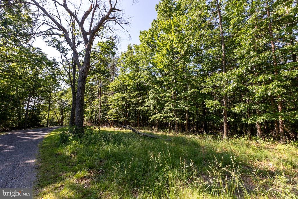 PANORAMA VIEW DR., STANLEY, Virginia 22851, ,Land,PANORAMA VIEW DR.,VAPA2006536 MLS # VAPA2006536 PANORAMA VIEW DR., STANLEY, Virginia 22851, ,Land,PANORAMA VIEW DR.,VAPA2006536 MLS # VAPA2006536