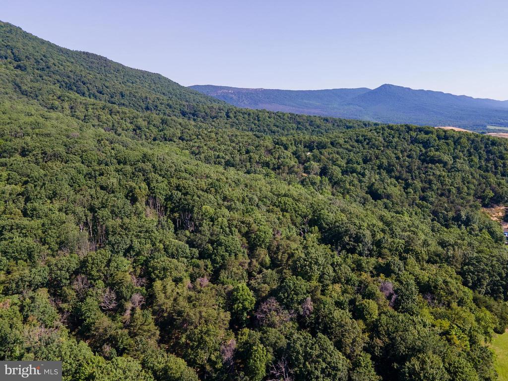 PANORAMA VIEW DR., STANLEY, Virginia 22851, ,Land,PANORAMA VIEW DR.,VAPA2006536 MLS # VAPA2006536 PANORAMA VIEW DR., STANLEY, Virginia 22851, ,Land,PANORAMA VIEW DR.,VAPA2006536 MLS # VAPA2006536