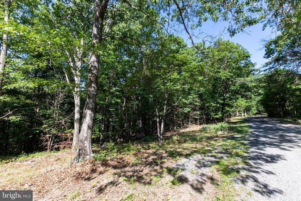 PANORAMA VIEW DR., STANLEY, Virginia 22851, ,Land,PANORAMA VIEW DR.,VAPA2006536 MLS # VAPA2006536 PANORAMA VIEW DR., STANLEY, Virginia 22851, ,Land,PANORAMA VIEW DR.,VAPA2006536 MLS # VAPA2006536