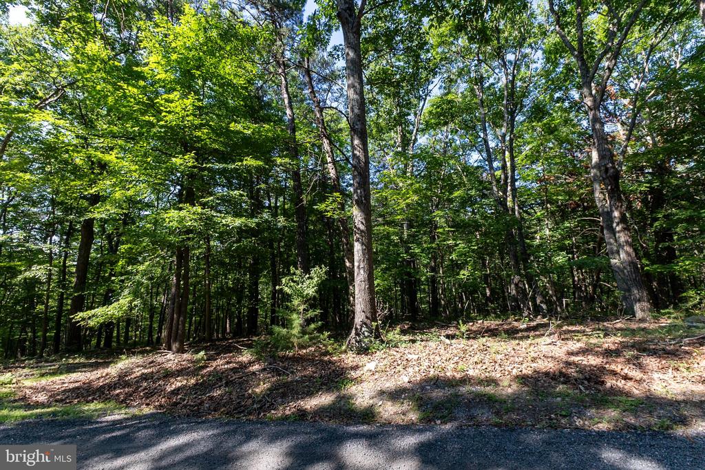 PANORAMA VIEW DR., STANLEY, Virginia 22851, ,Land,PANORAMA VIEW DR.,VAPA2006536 MLS # VAPA2006536 PANORAMA VIEW DR., STANLEY, Virginia 22851, ,Land,PANORAMA VIEW DR.,VAPA2006536 MLS # VAPA2006536