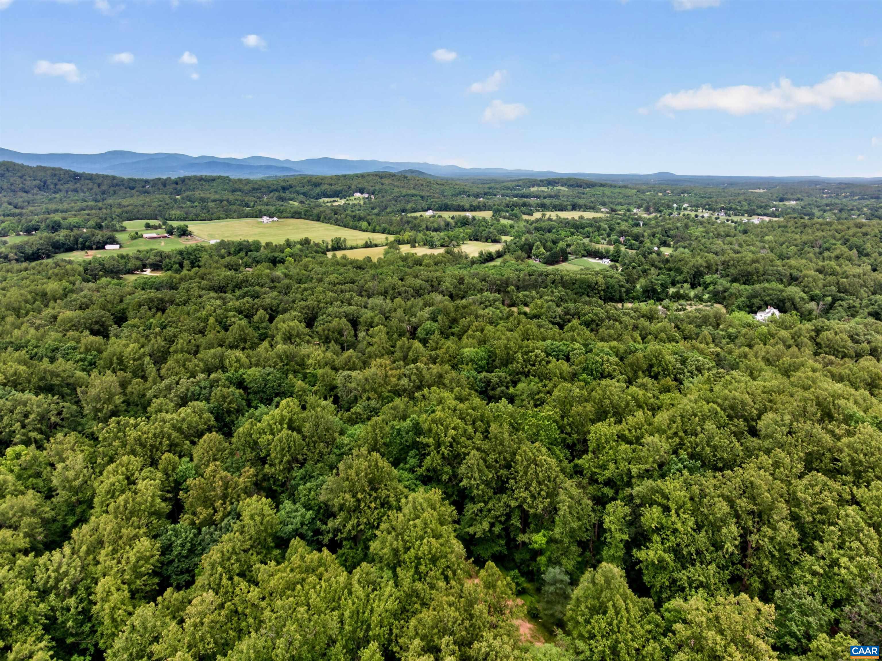 3955 TAYLORS MOUNTAIN FARM LN, CHARLOTTESVILLE, Virginia 22903, ,Land,3955 TAYLORS MOUNTAIN FARM LN,678231 MLS # 678231 3955 TAYLORS MOUNTAIN FARM LN, CHARLOTTESVILLE, Virginia 22903, ,Land,3955 TAYLORS MOUNTAIN FARM LN,678231 MLS # 678231