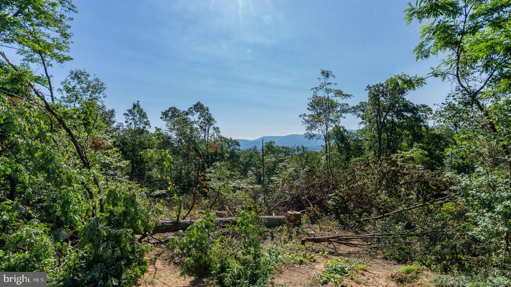 531 FOREST DRIVE EXT, LURAY, Virginia 22835, 3 Bedrooms Bedrooms, ,1 BathroomBathrooms,Residential,531 FOREST DRIVE EXT,VAPA2006322 MLS # VAPA2006322 531 FOREST DRIVE EXT, LURAY, Virginia 22835, 3 Bedrooms Bedrooms, ,1 BathroomBathrooms,Residential,531 FOREST DRIVE EXT,VAPA2006322 MLS # VAPA2006322