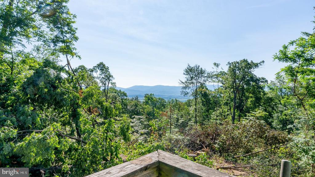 531 FOREST DRIVE EXT, LURAY, Virginia 22835, 3 Bedrooms Bedrooms, ,1 BathroomBathrooms,Residential,531 FOREST DRIVE EXT,VAPA2006322 MLS # VAPA2006322 531 FOREST DRIVE EXT, LURAY, Virginia 22835, 3 Bedrooms Bedrooms, ,1 BathroomBathrooms,Residential,531 FOREST DRIVE EXT,VAPA2006322 MLS # VAPA2006322
