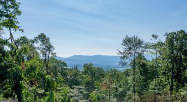 531 FOREST DRIVE EXT, LURAY, Virginia 22835, 3 Bedrooms Bedrooms, ,1 BathroomBathrooms,Residential,531 FOREST DRIVE EXT,VAPA2006322 MLS # VAPA2006322