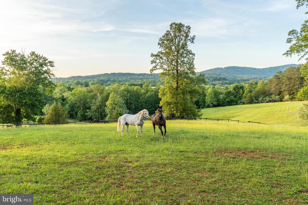 1636 MILTON RD, CHARLOTTESVILLE, Virginia 22902, 7 Bedrooms Bedrooms, ,5 BathroomsBathrooms,Residential,1636 MILTON RD,VAAB2001184 MLS # VAAB2001184 1636 MILTON RD, CHARLOTTESVILLE, Virginia 22902, 7 Bedrooms Bedrooms, ,5 BathroomsBathrooms,Residential,1636 MILTON RD,VAAB2001184 MLS # VAAB2001184