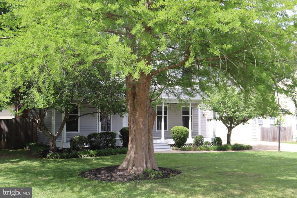 5820 GLEN EAGLES DR, FREDERICKSBURG, Virginia 22407, 3 Bedrooms Bedrooms, ,3 BathroomsBathrooms,Residential,5820 GLEN EAGLES DR,VASP2042690 MLS # VASP2042690 5820 GLEN EAGLES DR, FREDERICKSBURG, Virginia 22407, 3 Bedrooms Bedrooms, ,3 BathroomsBathrooms,Residential,5820 GLEN EAGLES DR,VASP2042690 MLS # VASP2042690