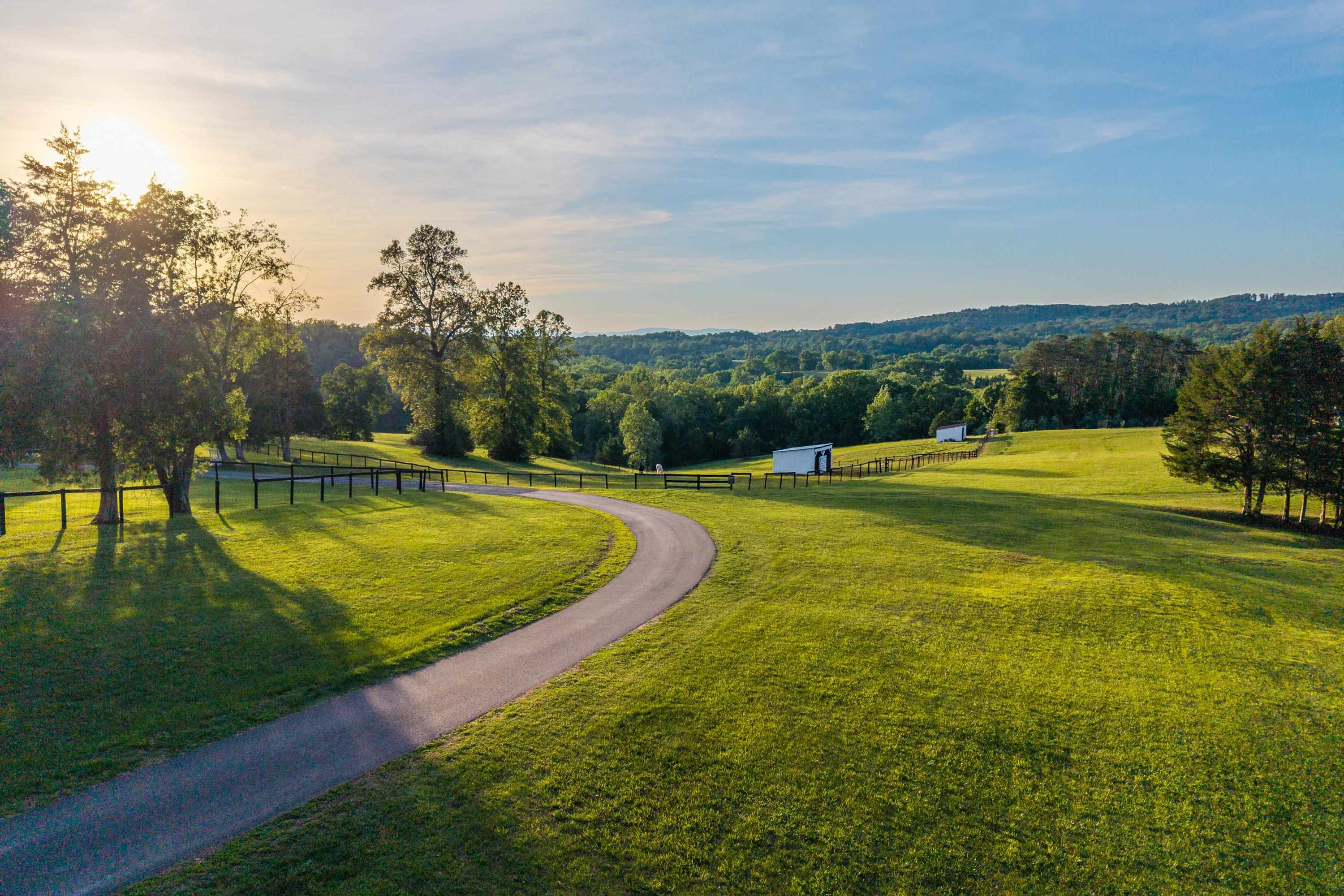 1636 MILTON RD, CHARLOTTESVILLE, Virginia 22902, 7 Bedrooms Bedrooms, ,5 BathroomsBathrooms,Residential,1636 MILTON RD,678242 MLS # 678242 1636 MILTON RD, CHARLOTTESVILLE, Virginia 22902, 7 Bedrooms Bedrooms, ,5 BathroomsBathrooms,Residential,1636 MILTON RD,678242 MLS # 678242