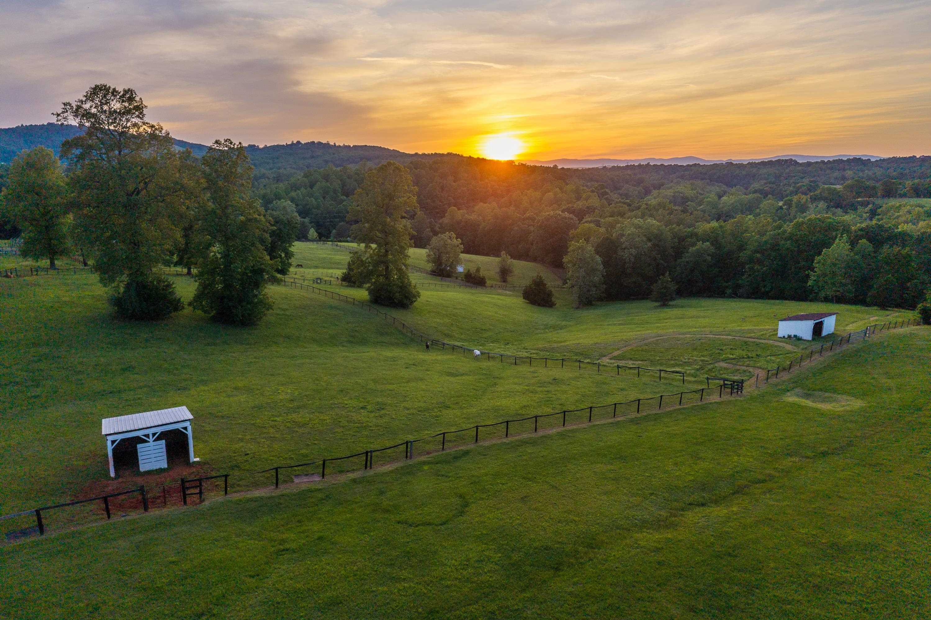 1636 MILTON RD, CHARLOTTESVILLE, Virginia 22902, 7 Bedrooms Bedrooms, ,5 BathroomsBathrooms,Residential,1636 MILTON RD,678242 MLS # 678242 1636 MILTON RD, CHARLOTTESVILLE, Virginia 22902, 7 Bedrooms Bedrooms, ,5 BathroomsBathrooms,Residential,1636 MILTON RD,678242 MLS # 678242