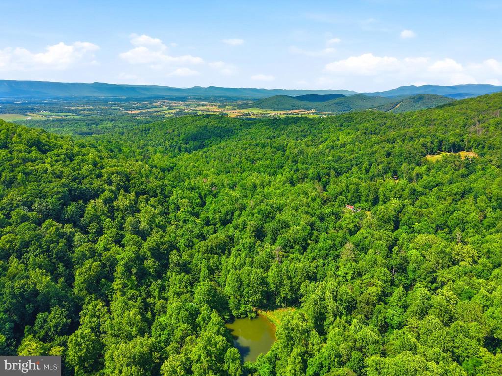 JORDAN HOLLOW RD, STANLEY, Virginia 22851, ,Farm,JORDAN HOLLOW RD,VAPA2006538 MLS # VAPA2006538 JORDAN HOLLOW RD, STANLEY, Virginia 22851, ,Farm,JORDAN HOLLOW RD,VAPA2006538 MLS # VAPA2006538