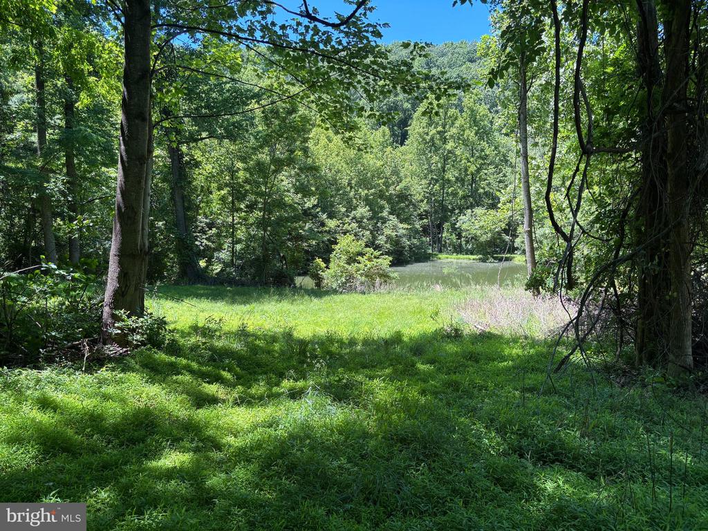 JORDAN HOLLOW RD, STANLEY, Virginia 22851, ,Farm,JORDAN HOLLOW RD,VAPA2006538 MLS # VAPA2006538 JORDAN HOLLOW RD, STANLEY, Virginia 22851, ,Farm,JORDAN HOLLOW RD,VAPA2006538 MLS # VAPA2006538