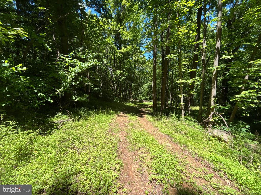 JORDAN HOLLOW RD, STANLEY, Virginia 22851, ,Farm,JORDAN HOLLOW RD,VAPA2006538 MLS # VAPA2006538 JORDAN HOLLOW RD, STANLEY, Virginia 22851, ,Farm,JORDAN HOLLOW RD,VAPA2006538 MLS # VAPA2006538