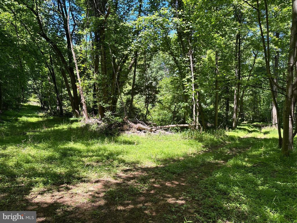 JORDAN HOLLOW RD, STANLEY, Virginia 22851, ,Farm,JORDAN HOLLOW RD,VAPA2006538 MLS # VAPA2006538 JORDAN HOLLOW RD, STANLEY, Virginia 22851, ,Farm,JORDAN HOLLOW RD,VAPA2006538 MLS # VAPA2006538