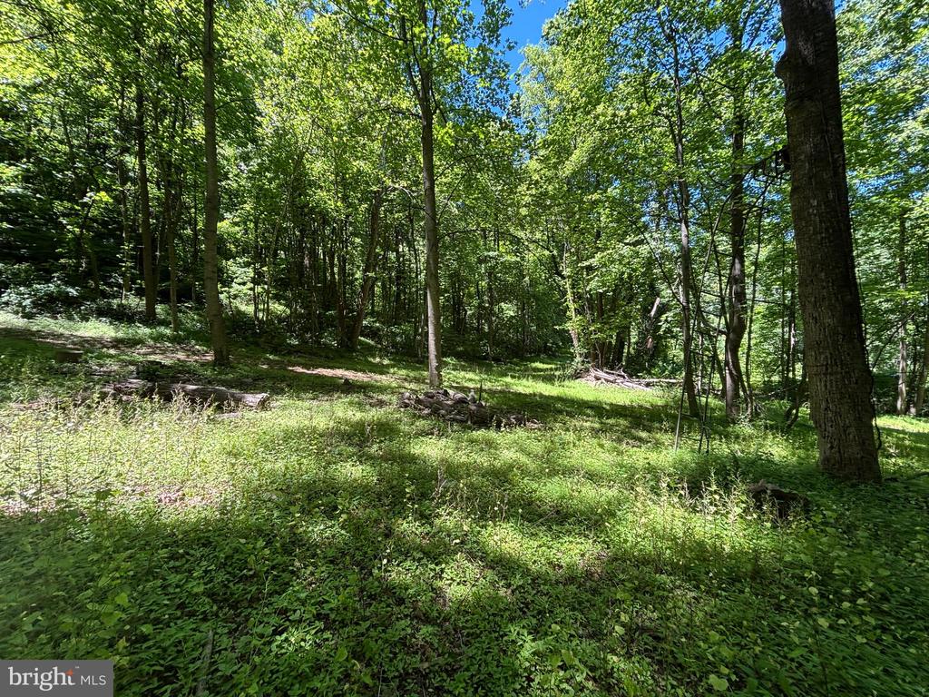 JORDAN HOLLOW RD, STANLEY, Virginia 22851, ,Farm,JORDAN HOLLOW RD,VAPA2006538 MLS # VAPA2006538 JORDAN HOLLOW RD, STANLEY, Virginia 22851, ,Farm,JORDAN HOLLOW RD,VAPA2006538 MLS # VAPA2006538