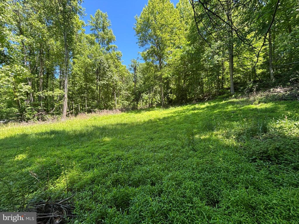 JORDAN HOLLOW RD, STANLEY, Virginia 22851, ,Farm,JORDAN HOLLOW RD,VAPA2006538 MLS # VAPA2006538 JORDAN HOLLOW RD, STANLEY, Virginia 22851, ,Farm,JORDAN HOLLOW RD,VAPA2006538 MLS # VAPA2006538