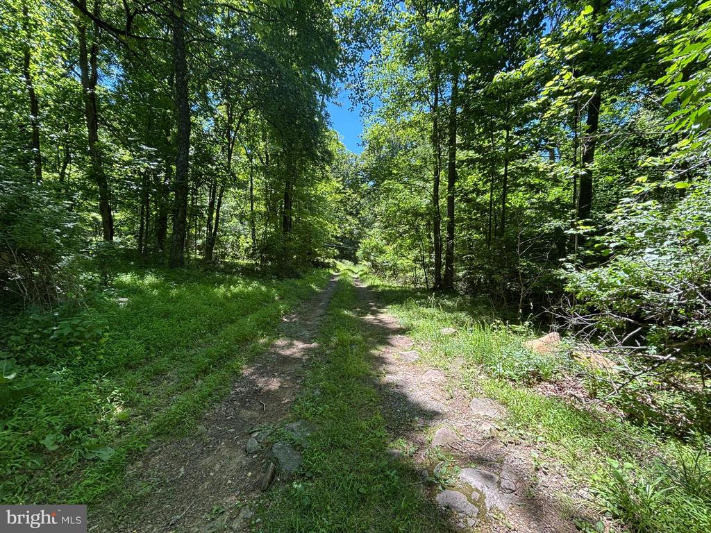 JORDAN HOLLOW RD, STANLEY, Virginia 22851, ,Farm,JORDAN HOLLOW RD,VAPA2006538 MLS # VAPA2006538 JORDAN HOLLOW RD, STANLEY, Virginia 22851, ,Farm,JORDAN HOLLOW RD,VAPA2006538 MLS # VAPA2006538