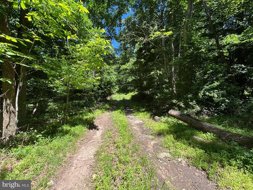 JORDAN HOLLOW RD, STANLEY, Virginia 22851, ,Farm,JORDAN HOLLOW RD,VAPA2006538 MLS # VAPA2006538 JORDAN HOLLOW RD, STANLEY, Virginia 22851, ,Farm,JORDAN HOLLOW RD,VAPA2006538 MLS # VAPA2006538