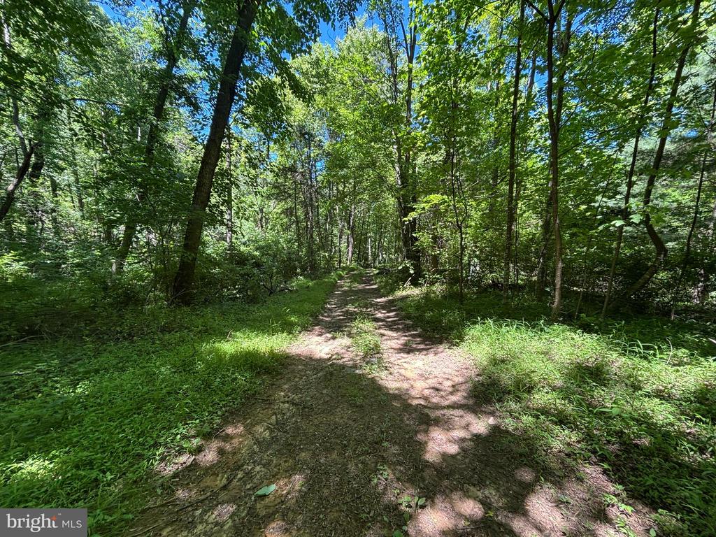 JORDAN HOLLOW RD, STANLEY, Virginia 22851, ,Farm,JORDAN HOLLOW RD,VAPA2006538 MLS # VAPA2006538 JORDAN HOLLOW RD, STANLEY, Virginia 22851, ,Farm,JORDAN HOLLOW RD,VAPA2006538 MLS # VAPA2006538