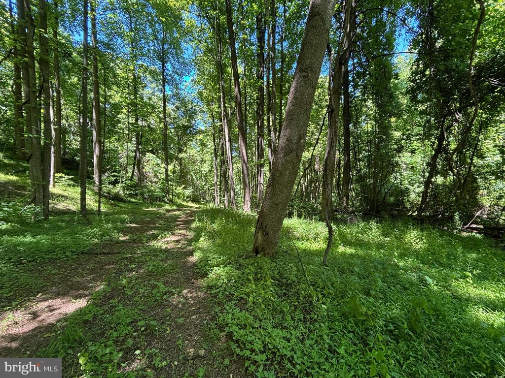 JORDAN HOLLOW RD, STANLEY, Virginia 22851, ,Farm,JORDAN HOLLOW RD,VAPA2006538 MLS # VAPA2006538 JORDAN HOLLOW RD, STANLEY, Virginia 22851, ,Farm,JORDAN HOLLOW RD,VAPA2006538 MLS # VAPA2006538