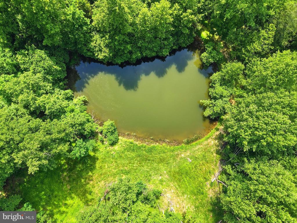 JORDAN HOLLOW RD, STANLEY, Virginia 22851, ,Farm,JORDAN HOLLOW RD,VAPA2006538 MLS # VAPA2006538 JORDAN HOLLOW RD, STANLEY, Virginia 22851, ,Farm,JORDAN HOLLOW RD,VAPA2006538 MLS # VAPA2006538