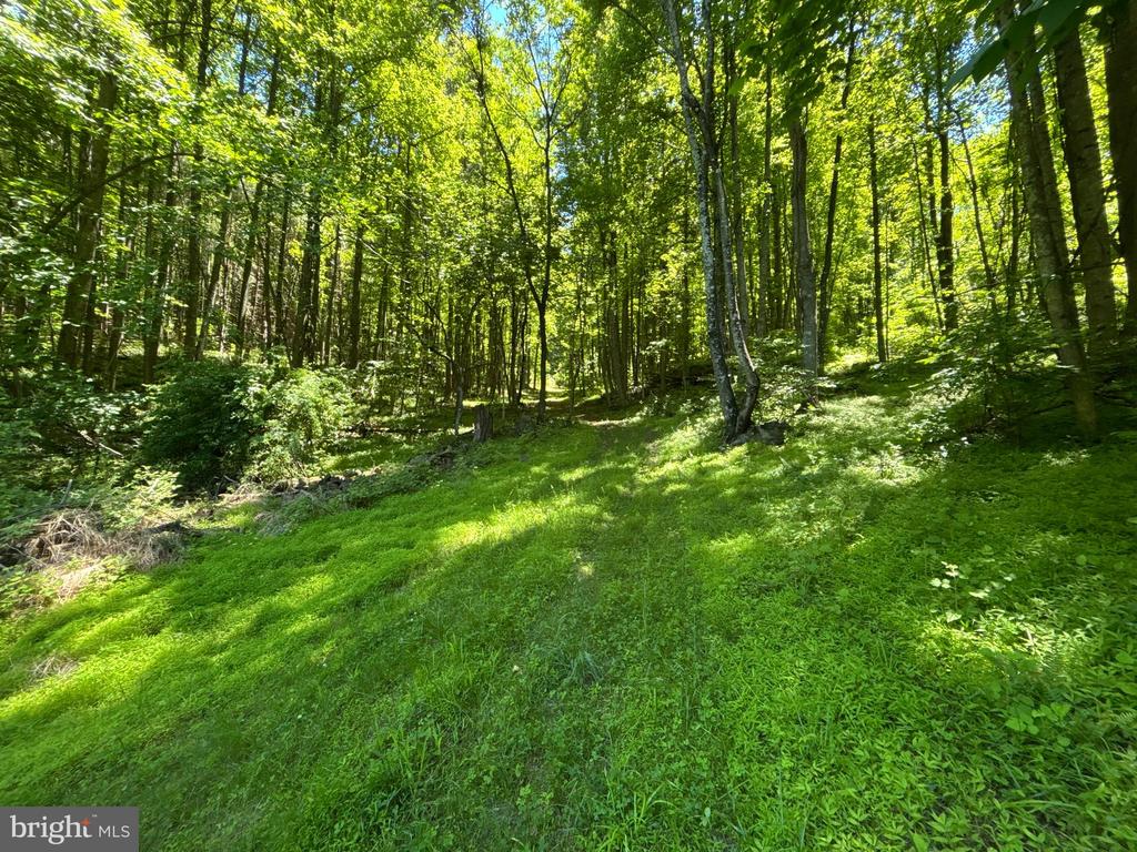 JORDAN HOLLOW RD, STANLEY, Virginia 22851, ,Farm,JORDAN HOLLOW RD,VAPA2006538 MLS # VAPA2006538 JORDAN HOLLOW RD, STANLEY, Virginia 22851, ,Farm,JORDAN HOLLOW RD,VAPA2006538 MLS # VAPA2006538