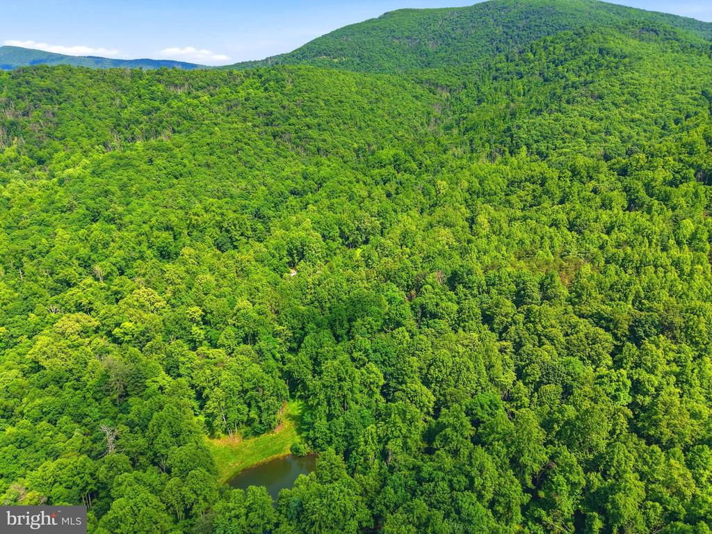 JORDAN HOLLOW RD, STANLEY, Virginia 22851, ,Farm,JORDAN HOLLOW RD,VAPA2006538 MLS # VAPA2006538 JORDAN HOLLOW RD, STANLEY, Virginia 22851, ,Farm,JORDAN HOLLOW RD,VAPA2006538 MLS # VAPA2006538
