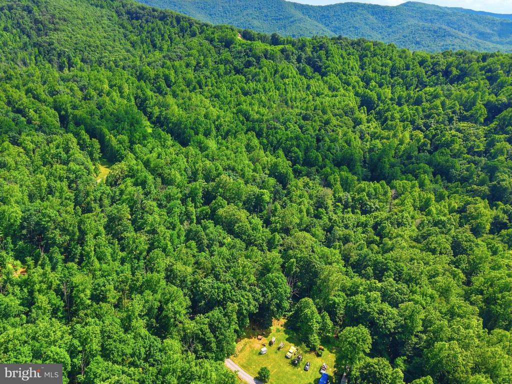 JORDAN HOLLOW RD, STANLEY, Virginia 22851, ,Farm,JORDAN HOLLOW RD,VAPA2006538 MLS # VAPA2006538 JORDAN HOLLOW RD, STANLEY, Virginia 22851, ,Farm,JORDAN HOLLOW RD,VAPA2006538 MLS # VAPA2006538