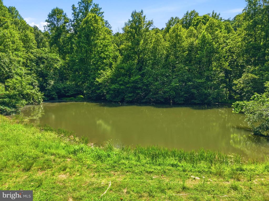 JORDAN HOLLOW RD, STANLEY, Virginia 22851, ,Farm,JORDAN HOLLOW RD,VAPA2006538 MLS # VAPA2006538 JORDAN HOLLOW RD, STANLEY, Virginia 22851, ,Farm,JORDAN HOLLOW RD,VAPA2006538 MLS # VAPA2006538