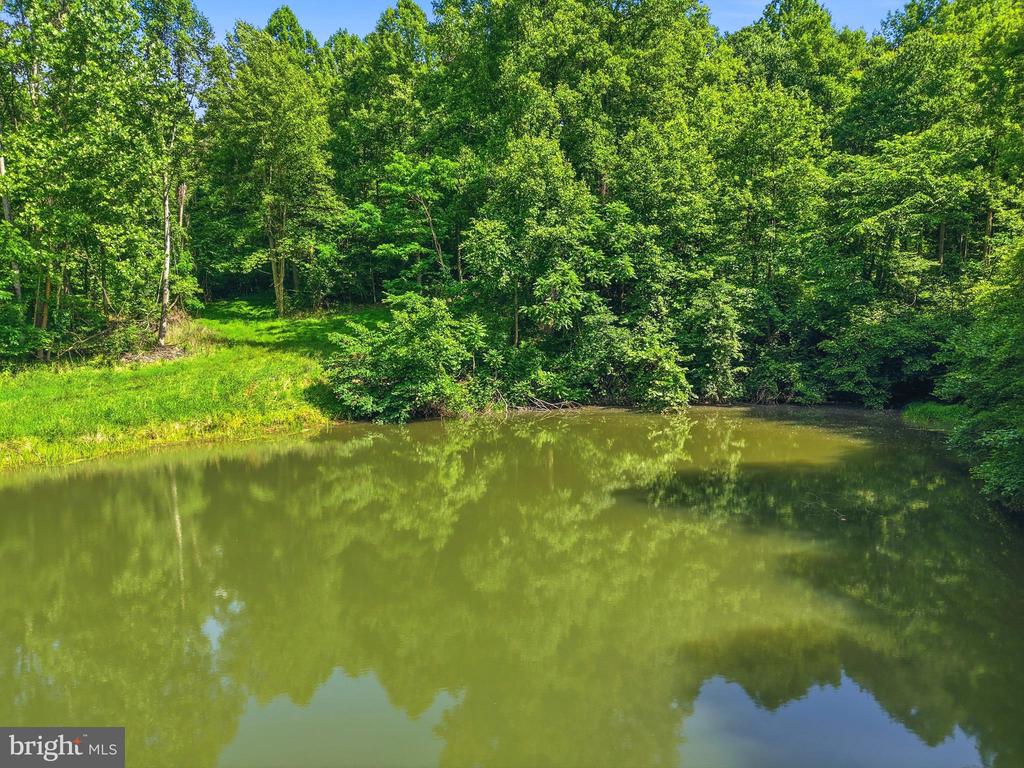JORDAN HOLLOW RD, STANLEY, Virginia 22851, ,Farm,JORDAN HOLLOW RD,VAPA2006538 MLS # VAPA2006538 JORDAN HOLLOW RD, STANLEY, Virginia 22851, ,Farm,JORDAN HOLLOW RD,VAPA2006538 MLS # VAPA2006538